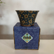 KUTANI réf AT