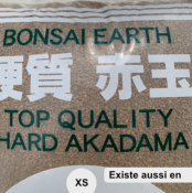 AKADAMA