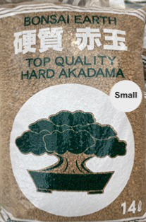 AKADAMA