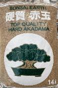 AKADAMA